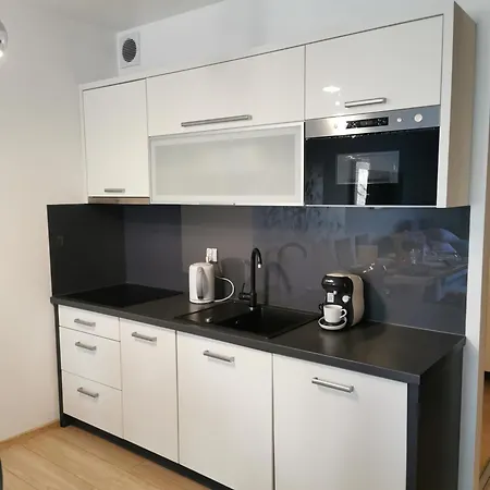 Seaside Forest - Polanki