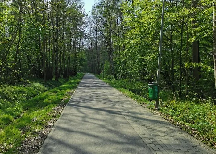 Apartament Seaside Forest - Polanki Kołobrzeg